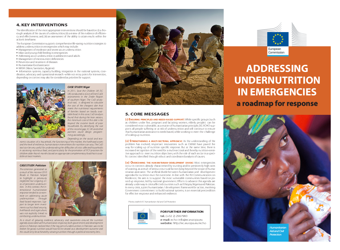 2.1._addressing_undernutrition_in_emergencies_-_roadmap_for_response_ec.pdf_1.png