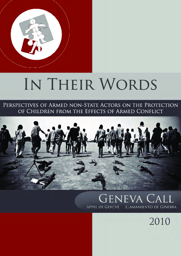 In Their Words Perspectives Of Armed Non State Actors On The