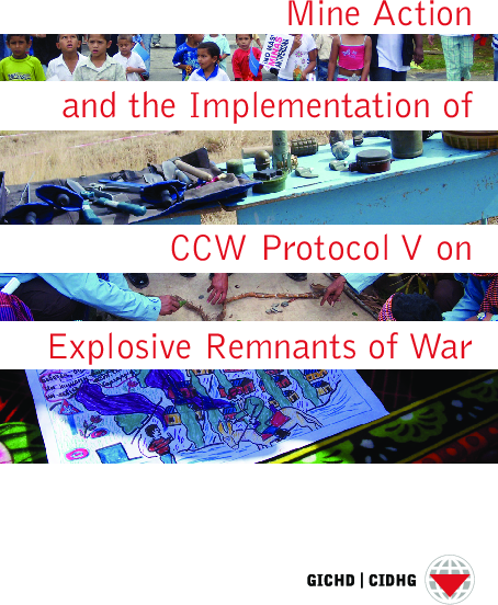 Mine-Action-and-the-implementation-of-the-CCW-protocol-V-on-ERW-GICHD-2008.pdf_2.png