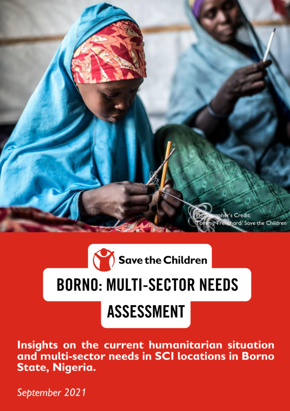 Borno: Multi-sector Needs Assessment