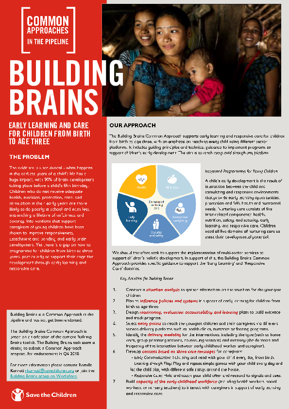building_brains_1_page_brief.pdf_3.png