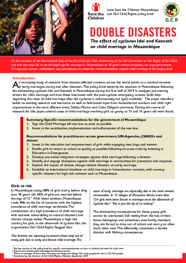 policy_brief-_mozambique_final.pdf_0.png